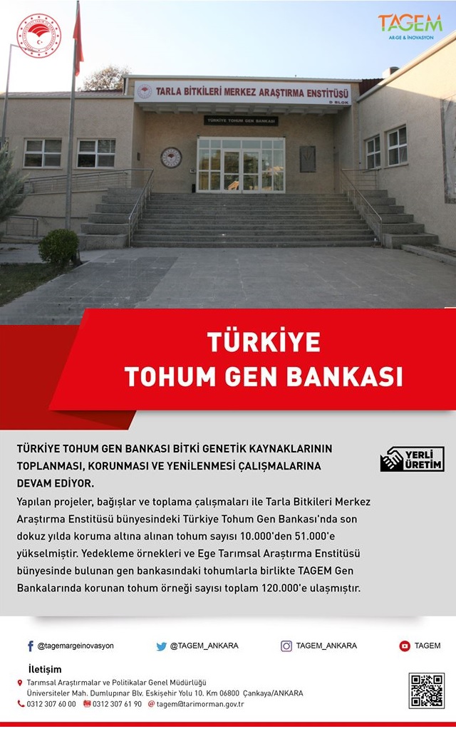 Türkiye Tohum Gen Bankası